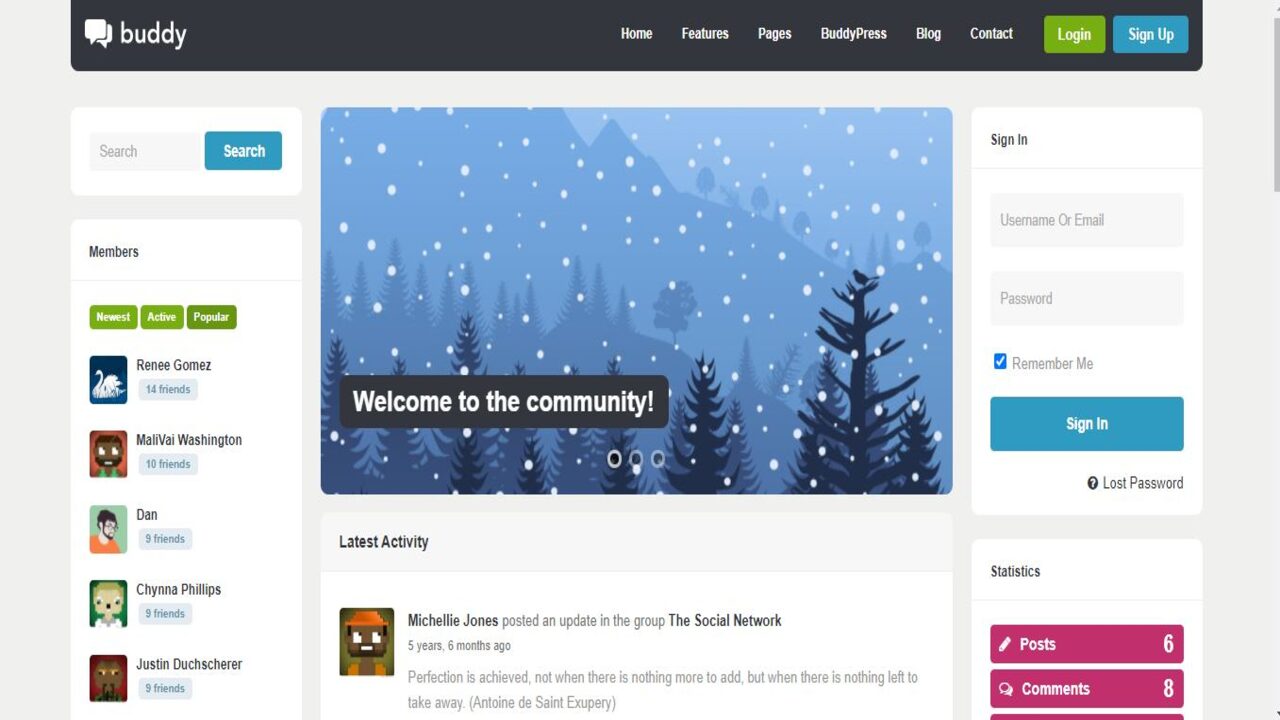 buddy best buddypress theme