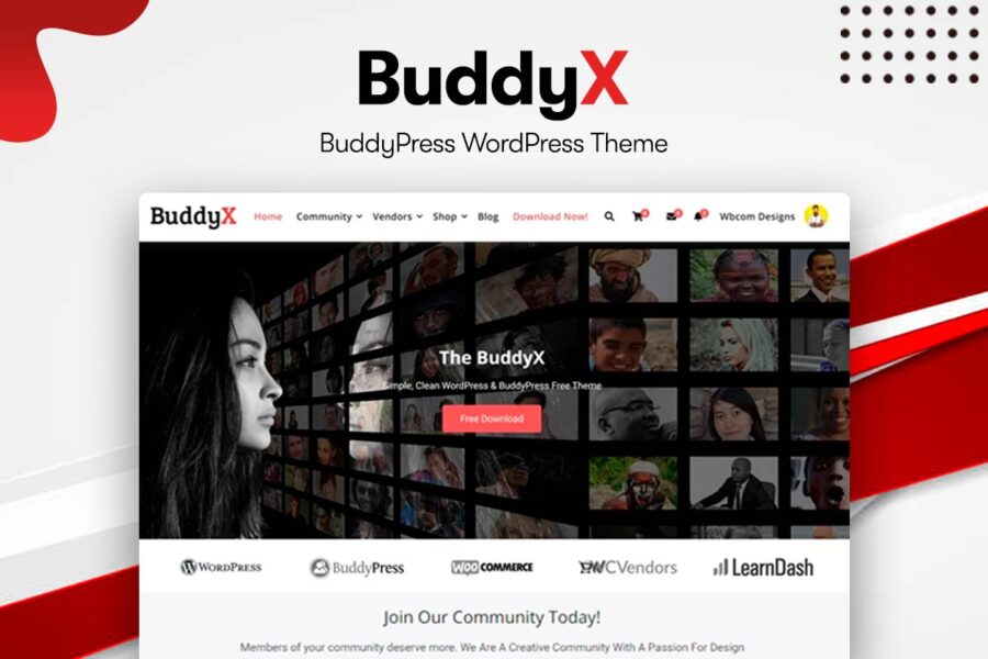 buddyx