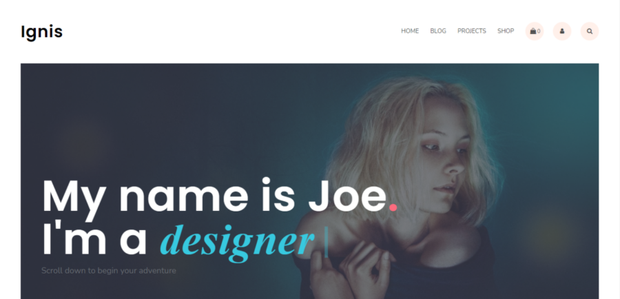 Ignis wordpress portfolio themes