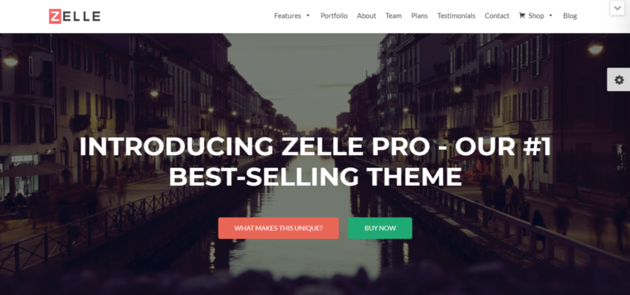 30 Best Elementor Templates and Themes (Free & Paid) 21 zelle pro