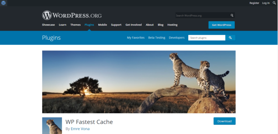 10 Best WordPress Cache Plugins 10 WP Fastest Cache