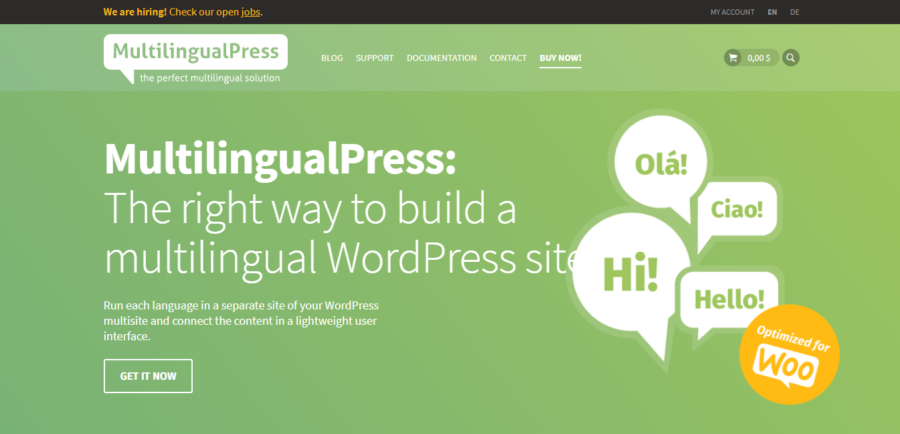 10 Best WordPress Translate Plugins 7 multilingualpress