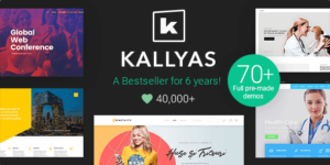 Kallyas Creative Multipurpose WordPress Theme
